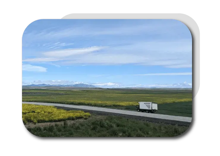 appellation transport truck