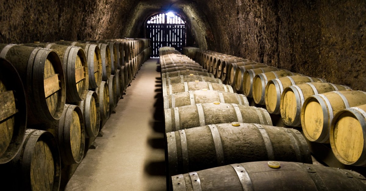 A wine cellar with exposed rock walls holds dozens of aged wine barrels. One end of the room has a gate.